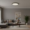 Светильник потолочный Loft It Sweety 10454/500 Black