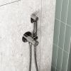 Гигиенический душ со смесителем Wasserkraft Встраиваемая продукция A70138 хром