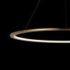 Светильник подвесной Loft It Ring 10014XL
