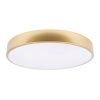 Светильник потолочный Loft It Flims 10228/A