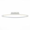 Светильник потолочный ST Luce SL920 SL920.102.01