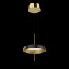 Светильник подвесной Delight Collection MD18001061-1A  black/gold