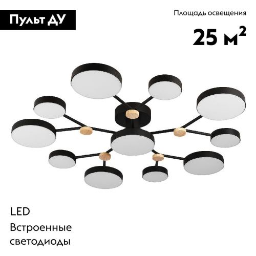 Люстра потолочная LED4U L3201-960 BK - фото 2