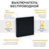 Выключатель беспроводной одноклавишный Feron TM81 41722