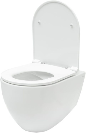 Чаша унитаза подвесная Allen Brau Reality 4.32006.20 цвет белый без сиденья безободковая каскадный смыв