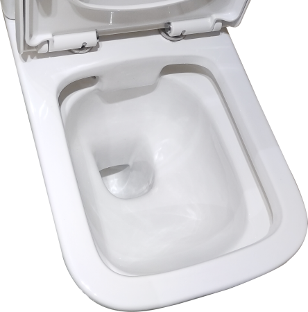 Унитаз напольный с бачком Taliente Elegante EL35055 белый с сиденьем безободковый душевой смыв