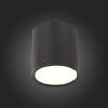 Светильник потолочный ST Luce Rene (Рене) ST113.442.05