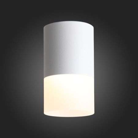 Светильник накладной ST Luce OTTU (ОТТУ) ST100.502.10