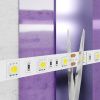 Светодиодная лента Maytoni Led Strip 10170