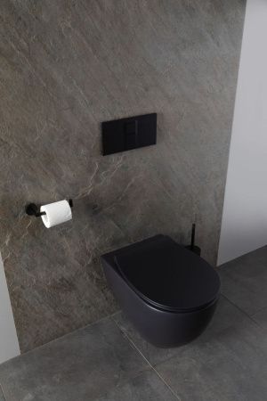 Чаша унитаза подвесная Allen Brau Reality 4.32006.31 цвет черный без сиденья безободковая каскадный смыв