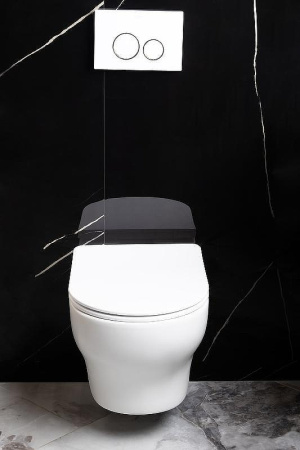 Унитаз подвесной Boheme Fiore 978-SET-MW цвет белый матовый с сиденьем микролифт безободковый смыв торнадо