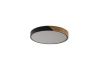 Светильник потолочный Zortes Alberro (Алберро) ZRS.01237.90