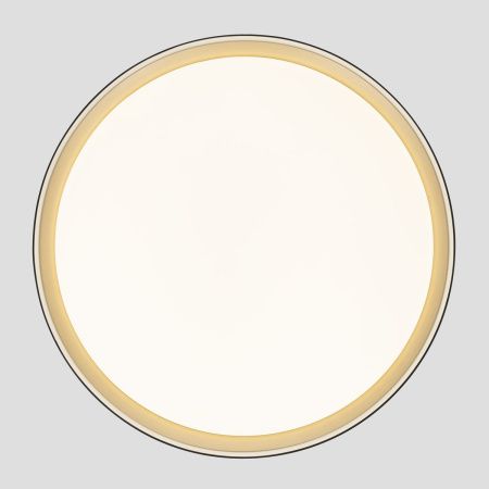 Светильник потолочный музыкальный Citilux Boss (Босс) CL751451G