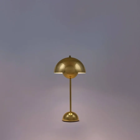 Настольная лампа Cosmo Ser CT0025