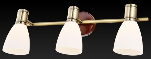 Спот Toplight Sharyl (Схарыл) TL3720Y-03BB - фото 2