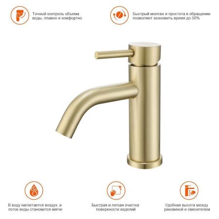 Смеситель ProHanss P31.10.03 на раковину золото