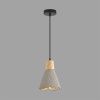 Светильник подвесной Lumion Eoliana (Еолиана) 8351/1B