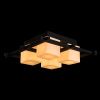 Люстра потолочная Arte Lamp WOODS (ВООДС) A8252PL-4CK