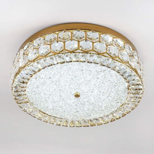 Светильник потолочный LED4U L1181-500 BS - фото 3