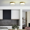 Светильник потолочный ImperiumLoft 243715-26