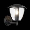 Уличный настенный светильник ST Luce Sivino (Сивино) SL081.401.01