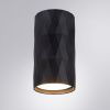 Светильник накладной Arte Lamp Fang (Фанг) A5557PL-1BK