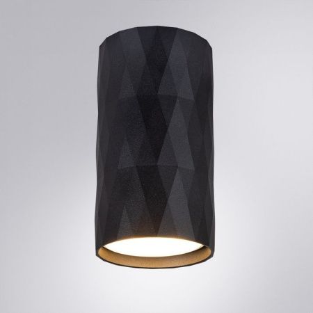 Светильник накладной Arte Lamp Fang (Фанг) A5557PL-1BK