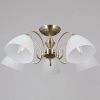 Люстра потолочная Illumico IL0897-5CSQ-26 AB ELITE