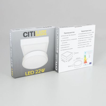 Светильник накладной Citilux Галс CL5522N