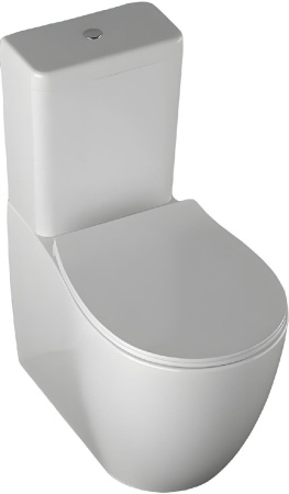 Чаша унитаза напольная Allen Brau Fantasy 4.11009.20 цвет белый без бачка с сиденьем микролифт безободковая каскадный смыв