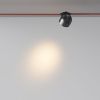 Трековый светодиодный светильник Maytoni Cup (Чаша) TR124B-12W3K-M-B