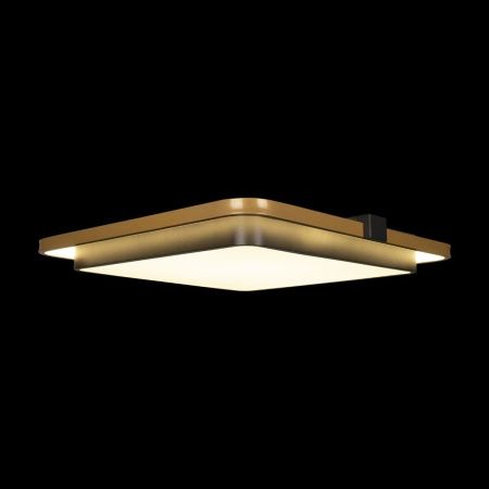 Светильник потолочный Loft It Mike 10172