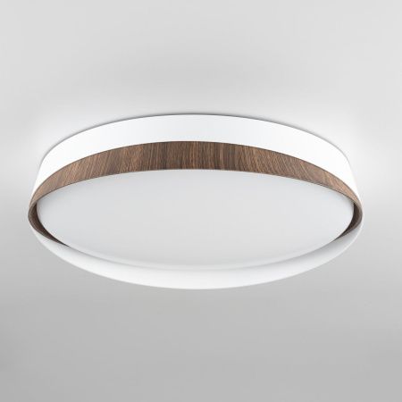 Светильник потолочный музыкальный Citilux Bonny (Бонны) CL754350G