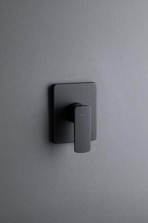 Смеситель для душа Allen Brau Infinity 5.21015-31 встраиваемый в стену черный