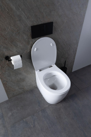 Унитаз приставной Allen Brau Fantasy 4.11007.20 белый с сиденьем микролифт безободковый каскадный смыв