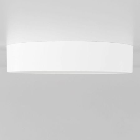Светильник накладной Citilux Тао CL712180N