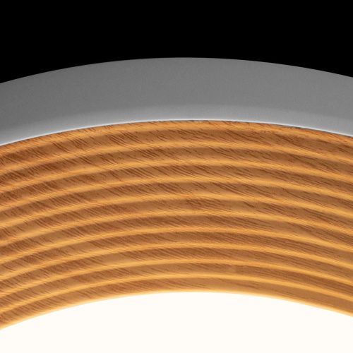 Светильник потолочный Loft It Folk 10255/500 White - фото 5