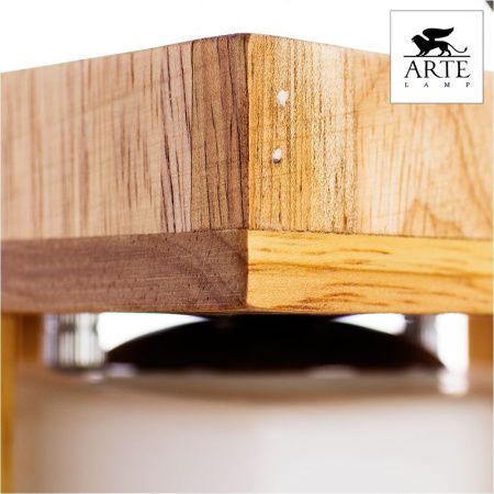 Светильник накладной Arte Lamp WOODS (ВООДС) A8252PL-1BR