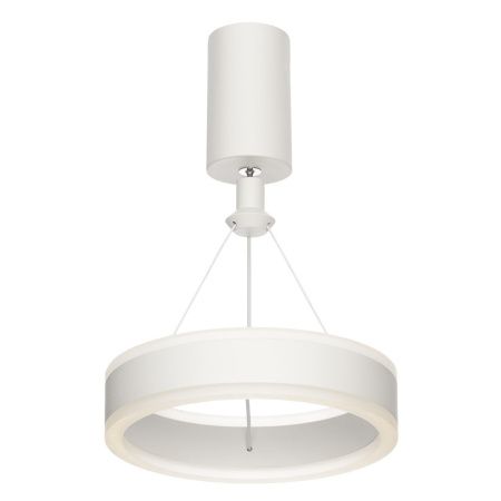 Светильник подвесной Citilux Дуэт CL719010