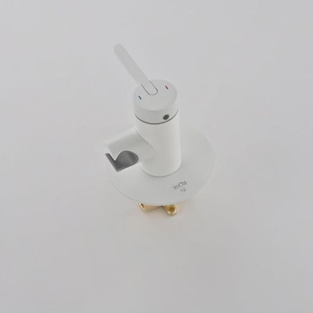 Гигиенический душ со смесителем Rose R235C белый