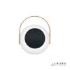 Настольная лампа iLedex Giggle (Гиггле) EYS0970-CH WH