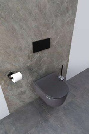 Чаша унитаза подвесная Allen Brau Priority 4.31002.AN цвет черный без сиденья безободковая каскадный смыв