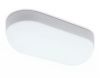 Уличный потолочный светильник Ambrella Light Street (Стреет) ST8655