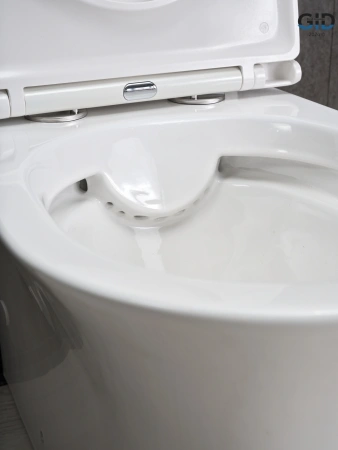 Унитаз напольный с бачком Gid Concavo Tn2126 (62246Y) белый с сиденьем микролифт безободковый