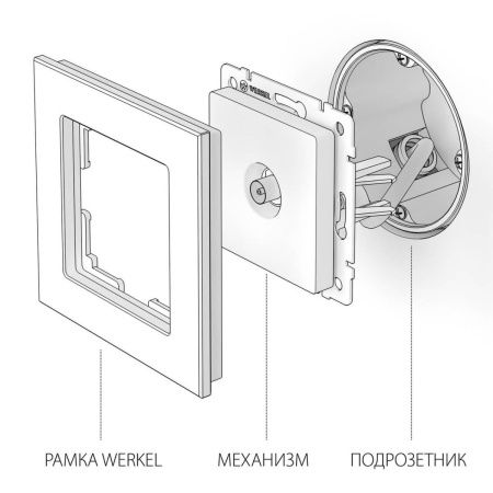 ТВ-розетка оконечная Werkel Графит рифленый 4690389158681