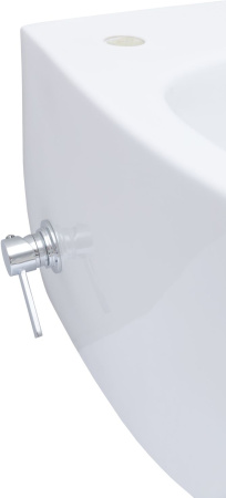 Чаша унитаза подвесная Allen Brau Fantasy 4.11HC1.20 цвет белый без сиденья безободковая каскадный смыв