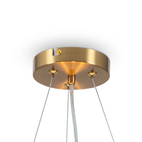 Светильник подвесной Freya Bride Modern FR5367PL-03BS - фото 4