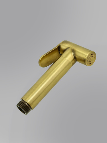 Гигиенический душ со смесителем ALMAes Agata AL-877-09 бронза - фото 3