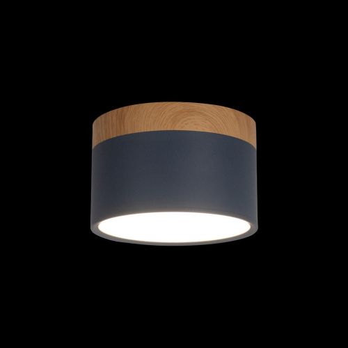 Светильник накладной Loft It Grape 10162 Blue - фото 2