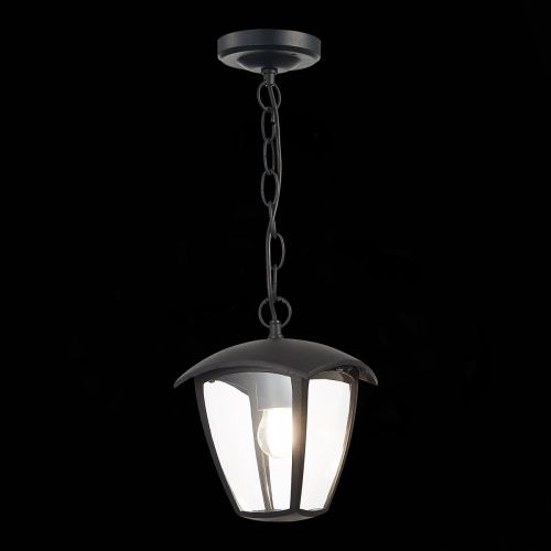 Уличный подвесной светильник ST Luce Sivino (Сивино) SL081.403.01 - фото 4